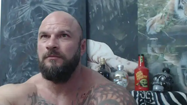 viking 30 online show from June 2026 05:58:01 PM