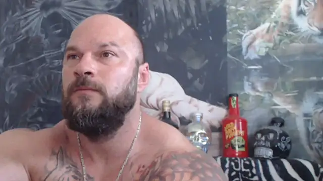 viking 30 online show from June 2026 06:34:01 AM