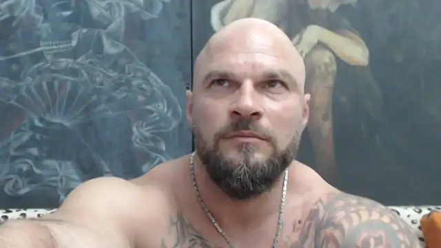 viking 30 online show from June 2026 06:34:01 PM