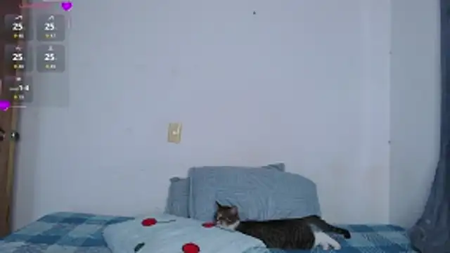 Snapshot of valen_thompson chatting on March 2026 11:07:02 PM valen thompson online show from March 2026 11:07:02 PM