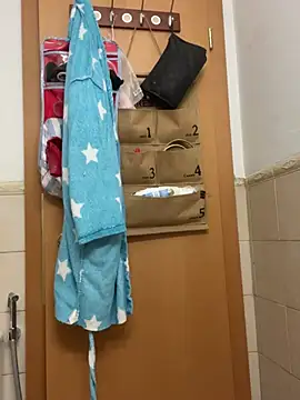 Snapshot of camelia3 chatting on March 2025 01:21:01 AM camelia3 online show from March 2025 01:21:01 AM