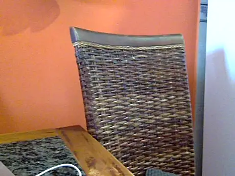 Snapshot of camelia3 chatting on March 2025 04:26:02 PM camelia3 online show from March 2025 04:26:02 PM