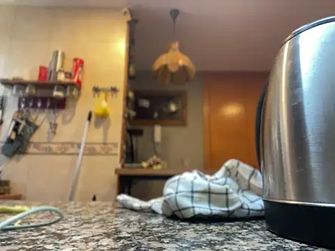 camelia3 online show from November 2025 12:48:02 PM