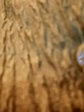 Dirtyfeelin online show from February 2025 11:28:02 AM