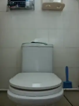 assluv1909 online show from February 2025 05:40:01 AM