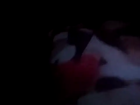 PrinceNoAlbert online show from December 2024 01:02:02 AM