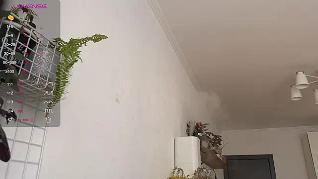 Snapshot of Chantwow chatting on February 2026 11:25:02 AM Chantwow online show from February 2026 11:25:02 AM