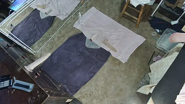 sex4fun 21 online show from January 2025 03:01:02 PM