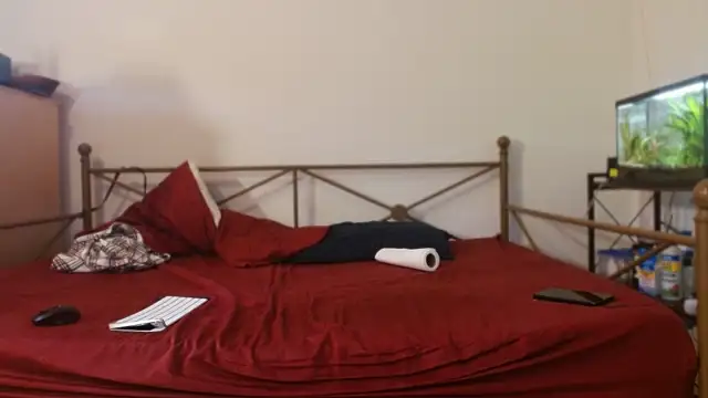 Dragonnycxh online show from February 2026 08:54:01 PM