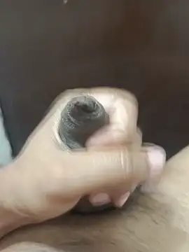 Deluxe dick online show from June 2026 12:52:01 PM