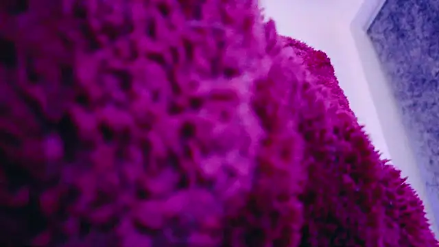 Snapshot of FemDom_RubyKnightXXO chatting on March 2025 08:37:01 PM FemDom RubyKnightXXO online show from March 2025 08:37:01 PM