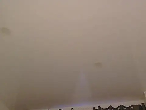 Snapshot of LionEdwin chatting on December 2025 07:37:01 AM LionEdwin online show from December 2025 07:37:01 AM