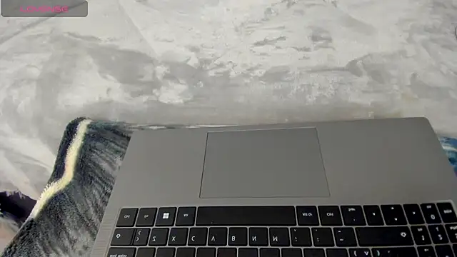 Dephne   online show from December 2025 02:10:02 AM