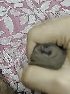 Snapshot of rockkyy9 chatting on October 2025 04:01:02 AM rockkyy9 online show from October 2025 04:01:02 AM