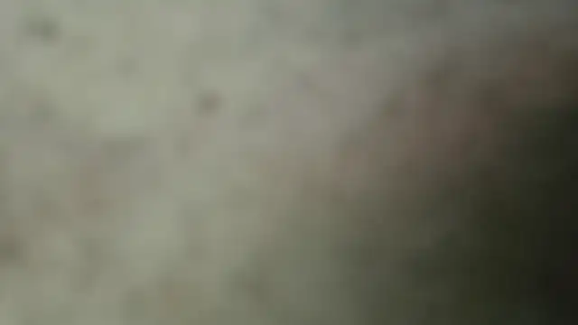 netuhubby online show from January 2025 08:43:01 PM