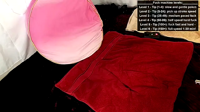 GamerGirlRoxyAndLee online show from June 2026 08:22:02 PM