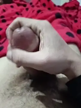 Prince R9 online show from February 2026 12:25:02 AM