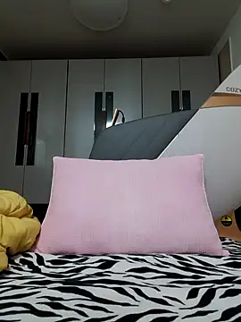 Ssk10N online show from February 2025 01:19:01 PM