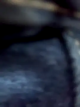 AiledSC online show from October 2025 06:51:02 PM