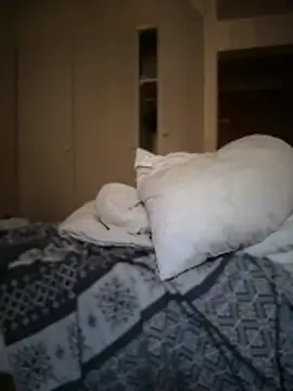 shehandme online show from February 2026 08:24:07 AM