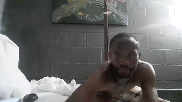 Maculine Stayr online show from May 2026 11:39:01 AM