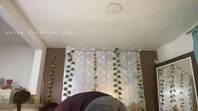 kelly thomson online show from June 2026 11:24:02 AM