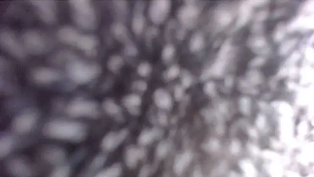 ADRIANNA FOX online show from February 2025 01:00:02 PM