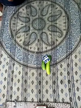 Snapshot of PrabV0319 chatting on November 2025 06:41:04 PM PrabV0319 online show from November 2025 06:41:04 PM