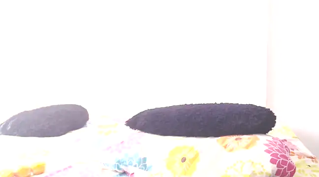 Snapshot of dayanasanz chatting on January 2025 06:55:02 PM dayanasanz online show from January 2025 06:55:02 PM