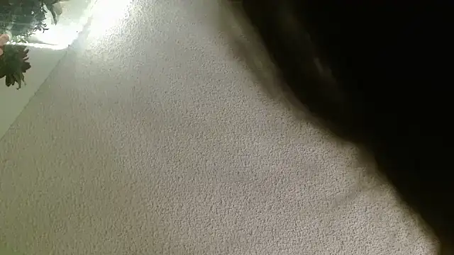 Yescuhh420 online show from January 2026 09:26:02 AM