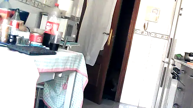 bixesualactivo online show from March 2026 11:58:01 AM