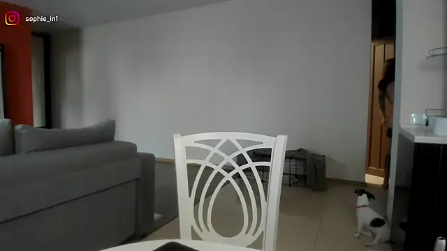 Snapshot of _in_yan chatting on February 2026 03:57:02 AM in yan online show from February 2026 03:57:02 AM