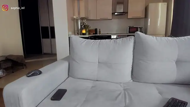 Snapshot of _in_yan chatting on March 2026 05:46:01 AM in yan online show from March 2026 05:46:01 AM