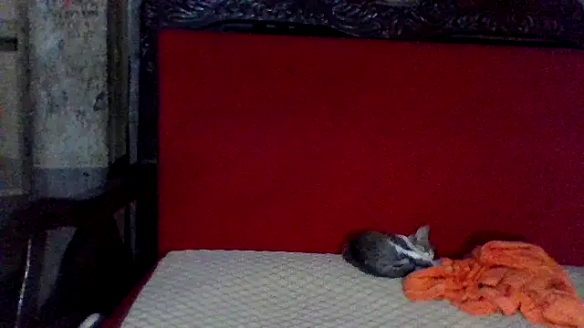 axomen online show from February 2025 03:58:02 AM