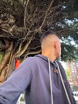 yequeal online show from December 2024 03:11:01 PM