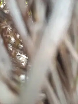 FinableKnee online show from September 2025 04:47:01 AM