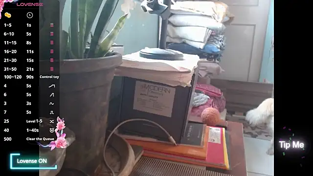 Star-Night online show from February 2026 04:11:01 AM