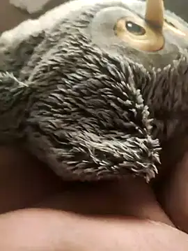 faphouse186582 online show from January 2025 05:10:02 AM