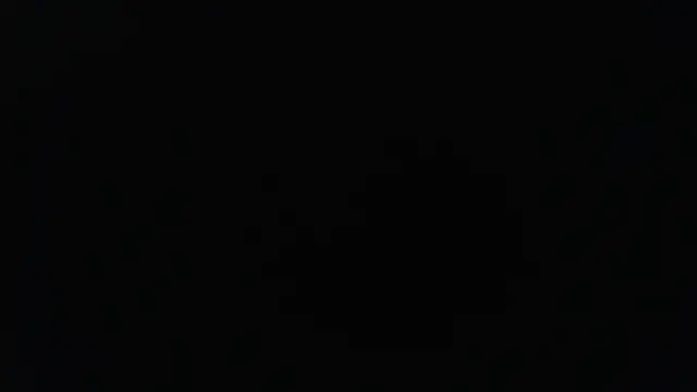 Snapshot of herver67 chatting on December 2025 06:17:01 PM herver67 online show from December 2025 06:17:01 PM