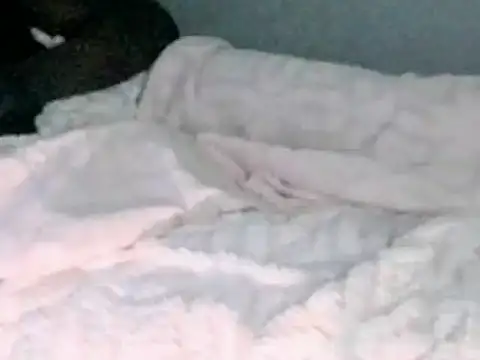 montydxxxx online show from February 2026 12:04:02 AM