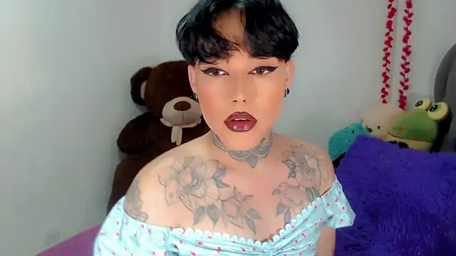 little star porn online show from November 2025 02:33:01 AM