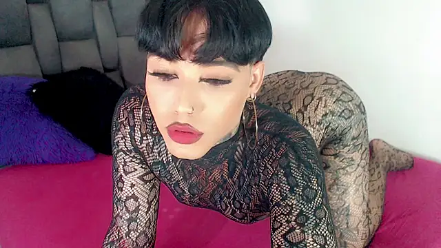 little star porn online show from June 2026 02:24:02 AM