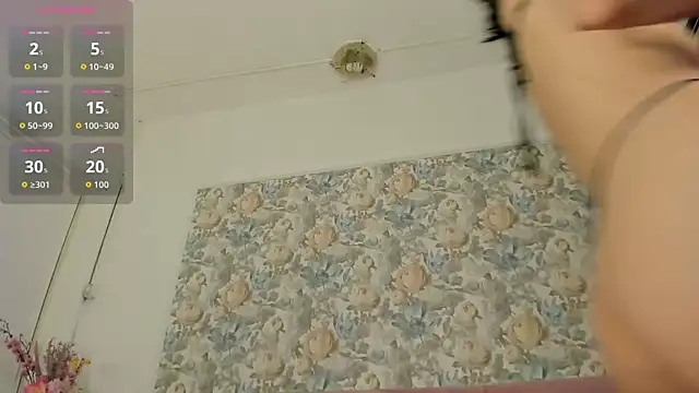 Snapshot of illegal_lorry chatting on April 2026 05:30:01 AM illegal lorry online show from April 2026 05:30:01 AM