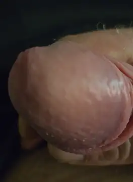 Snapshot of Zauberstab8 chatting on September 2025 08:14:01 PM Zauberstab8 online show from September 2025 08:14:01 PM