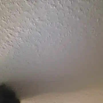 Snapshot of Zauberstab8 chatting on October 2025 08:53:02 PM Zauberstab8 online show from October 2025 08:53:02 PM