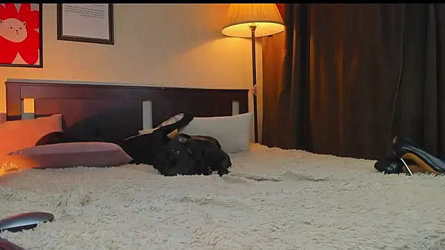 Lav Tender online show from February 2026 09:24:01 PM