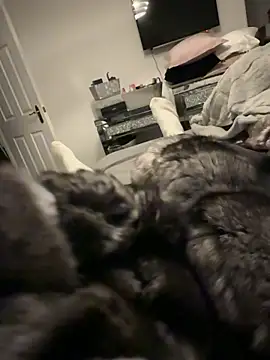 Furdale online show from December 2025 04:13:02 PM