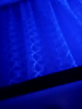 LeilaSaint online show from September 2025 04:40:02 PM