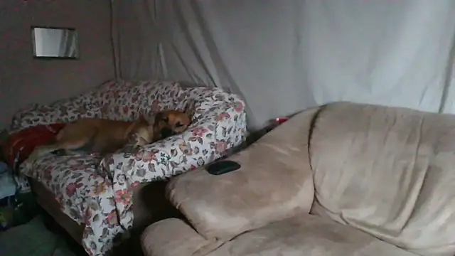 Snapshot of xykenrah48 chatting on March 2026 01:20:01 AM xykenrah48 online show from March 2026 01:20:01 AM