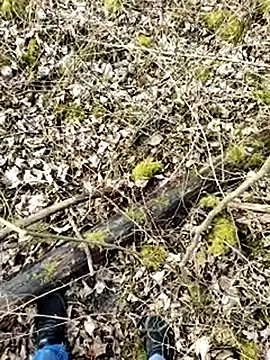 Snapshot of Boring_one chatting on March 2025 01:50:02 PM Boring one online show from March 2025 01:50:02 PM